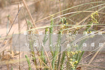 銀行協(xié)商還款征信影響多久-銀行協(xié)商還款征信影響多久恢復