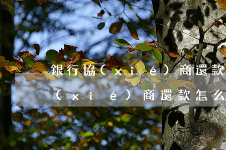 銀行協(xié)商還款怎么說-跟銀行協(xié)商還款怎么說