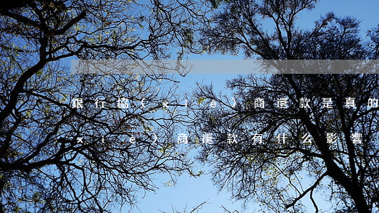 銀行協(xié)商還款是真的嗎(銀行協(xié)商還款有什么影響)