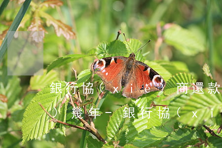 銀行協(xié)商還款最長(zhǎng)幾年-銀行協(xié)商還款最長(zhǎng)幾年還清