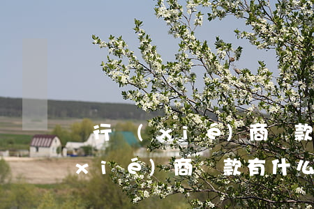 銀行協(xié)商還款有什么用(銀行協(xié)商還款有什么用途)