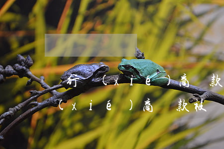 銀行協(xié)商還款話術(shù)（協(xié)商還款被銀行套路）
