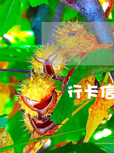 銀行卡信用卡利息（信用卡利息商家）