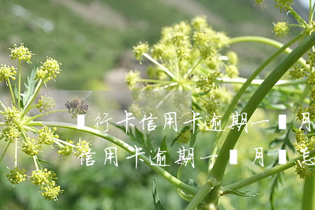 銀行卡信用卡逾期一個月會怎么辦-銀行卡信用卡逾期一個月會怎么辦呢