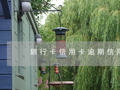 銀行卡信用卡逾期（信用卡逾期能否購匯還款）