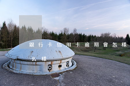 銀行卡信用卡逾期會怎樣(信用卡逾期了會怎么樣?)