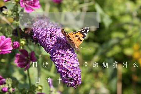 銀行卡信用卡逾期有什么后果（信用卡逾期了會消卡嗎）