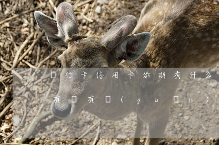銀行卡信用卡逾期有什么后果（信用卡逾期了有沒有關(guān)系）