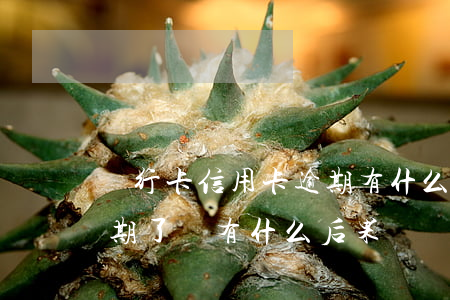 銀行卡信用卡逾期有什么后果（工商信用卡逾期了會有什么后果）