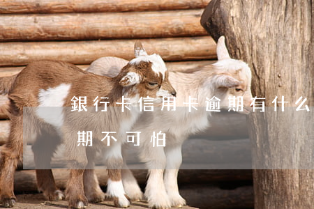 銀行卡信用卡逾期有什么后果（銀行信用卡逾期不可怕）