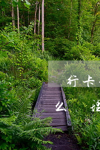 銀行卡信用卡逾期有什么辦（信用卡貸逾期怎么處理）