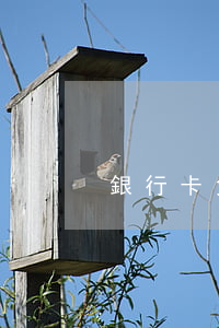銀行卡免費用-銀行卡免費用大全