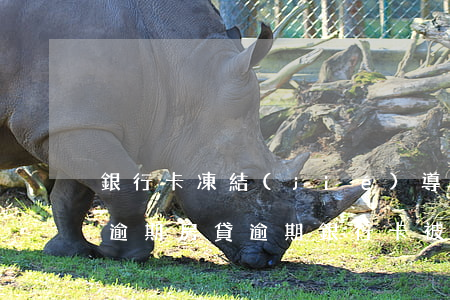 銀行卡凍結(jié)導(dǎo)致房貸逾期(房貸逾期銀行卡被凍結(jié)怎么辦)