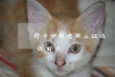 銀行卡分期逾期上征信嗎（銀行分期逾期怎么辦信用卡）