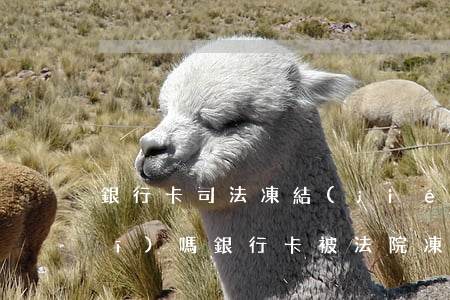 銀行卡司法凍結(jié)可以坐飛機(jī)嗎(銀行卡被法院凍結(jié)還能坐飛機(jī)嗎)