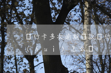 銀行卡多次逾期還款(銀行卡逾期一天還款會(huì)怎么樣)