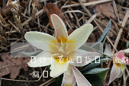 銀行卡最低還款屬于逾期(銀行只還最低算逾期嗎)