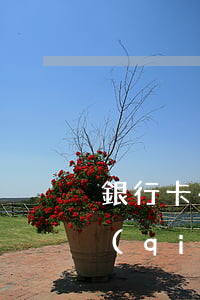 銀行卡有逾期可以注銷嗎（信用卡逾期多久強(qiáng)制銷卡）