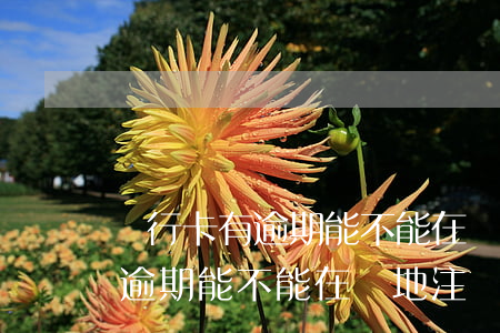 銀行卡有逾期能不能在異地注銷-銀行卡有逾期能不能在異地注銷銀行卡