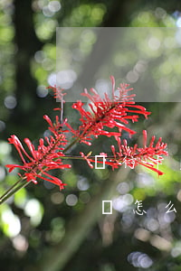 銀行卡欠網(wǎng)貸沒(méi)起訴怎么凍結(jié)了-銀行卡欠網(wǎng)貸沒(méi)起訴怎么凍結(jié)了呢