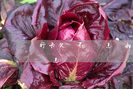 銀行卡欠貸不還會怎樣(如果欠銀行錢一直不還會怎樣)
