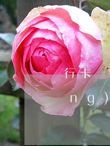 銀行卡沒(méi)開(kāi)通網(wǎng)銀是否能還款網(wǎng)貸-銀行卡沒(méi)開(kāi)通網(wǎng)銀可以貸款嗎