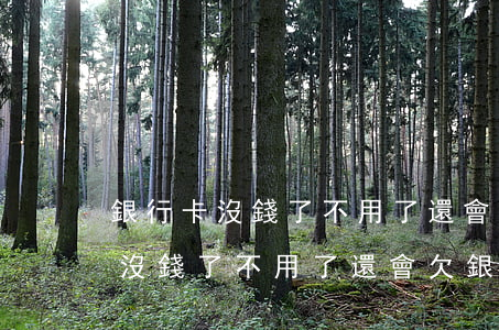 銀行卡沒錢了不用了還會欠銀行錢-銀行卡沒錢了不用了還會欠銀行錢?