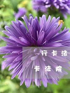 銀行卡法院凍結(jié)可以掛失嗎(銀行卡法院凍結(jié)可以掛失嗎)