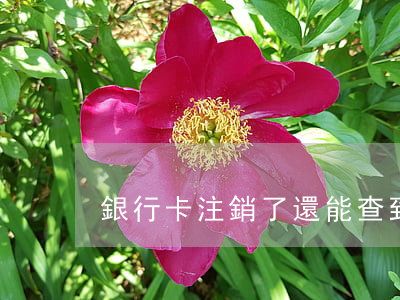 銀行卡注銷了還能查到流水嗎