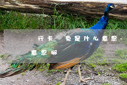 銀行卡減免是什么意思-銀行卡減免是什么意思啊