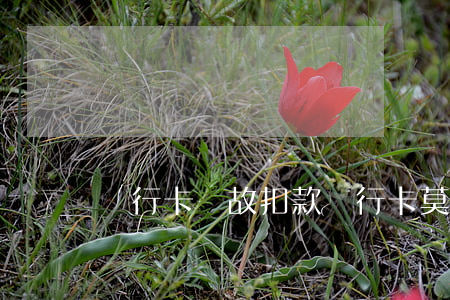 銀行卡無故扣款（銀行卡莫名其妙的逾期扣款）