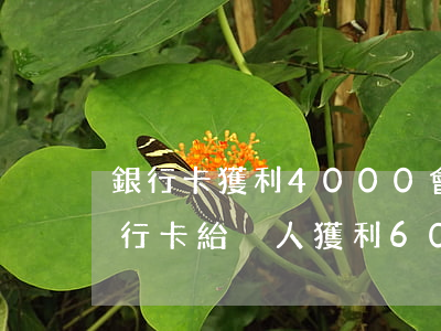 銀行卡獲利4000會(huì)罰多少(銀行卡給別人獲利6000)