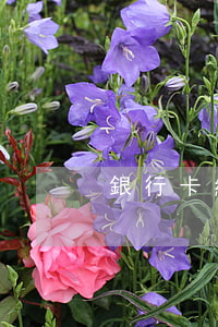 銀行卡繼承為什么公證(銀行錢繼承需公證)