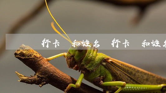 銀行卡號和姓名(銀行卡號和姓名有危險嗎)