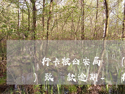 銀行卡被公安局凍結(jié)導(dǎo)致貸款逾期-銀行卡被公安局凍結(jié)導(dǎo)致貸款逾期怎么辦