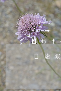 銀行卡被凍結(jié)房貸信用卡逾期(房貸逾期銀行卡會(huì)被凍結(jié)嗎)
