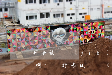 銀行卡被凍結(jié)無力償還欠款怎么辦啊-銀行卡被凍結(jié)無力償還欠款怎么辦啊怎么解凍