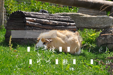 銀行卡被凍結(jié)網(wǎng)貸還可以還款嗎-網(wǎng)貸把我銀行卡凍結(jié)了