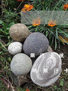 銀行卡被司法凍結(jié)了不處理可以嗎(銀行卡無故被司法凍結(jié),我該怎么辦)