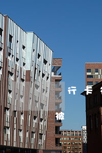 銀行卡被司法凍結(jié)了可以注銷嗎(被凍結(jié)的銀行卡可以注銷嗎)