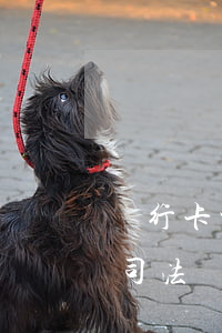 銀行卡被司法凍結可以申請解凍嗎(銀行卡被司法凍結如何申請解凍)