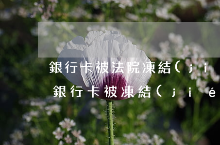 銀行卡被法院凍結(jié)可以再開戶嗎(銀行卡被凍結(jié)只能去開戶行解凍嗎)