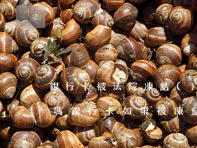 銀行卡被法院凍結(jié)可以查到余額嗎(銀行卡如果被凍結(jié)了還能不能查詢余額)