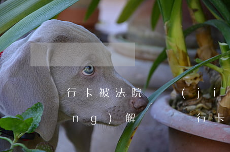 銀行卡被法院凍結(jié)可以申請(qǐng)解凍嗎(銀行卡被法院凍結(jié)申請(qǐng)解凍要多久)