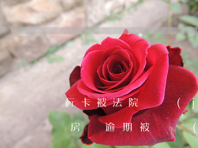 銀行卡被法院凍結(jié)房貸逾期怎么辦(房貸逾期被凍結(jié)了銀行卡是起訴還是被執(zhí)行)