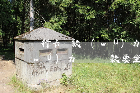 銀行卡貸款無(wú)力償還(銀行貸款無(wú)力償還貸款要坐牢嗎)