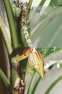銀行卡逾期1天會怎樣-銀行卡逾期1天會怎樣處理