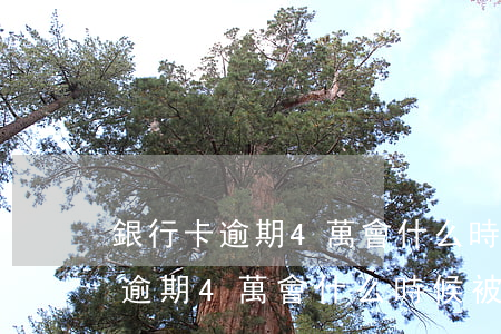 銀行卡逾期4萬會什么時候被起訴-銀行卡逾期4萬會什么時候被起訴呢