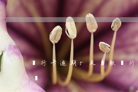 銀行卡逾期5天還款(銀行還款逾期四天怎么辦)