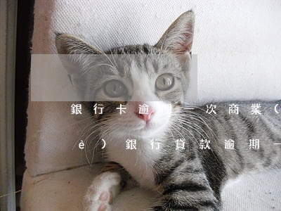 銀行卡逾期一次商業(yè)貸款(商業(yè)銀行貸款逾期一天會影響信用嗎)